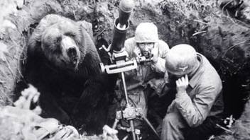 Wojtek in the trenches